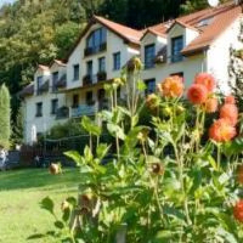 Bio Hotel Helvetia in der Sächsischen Schweiz