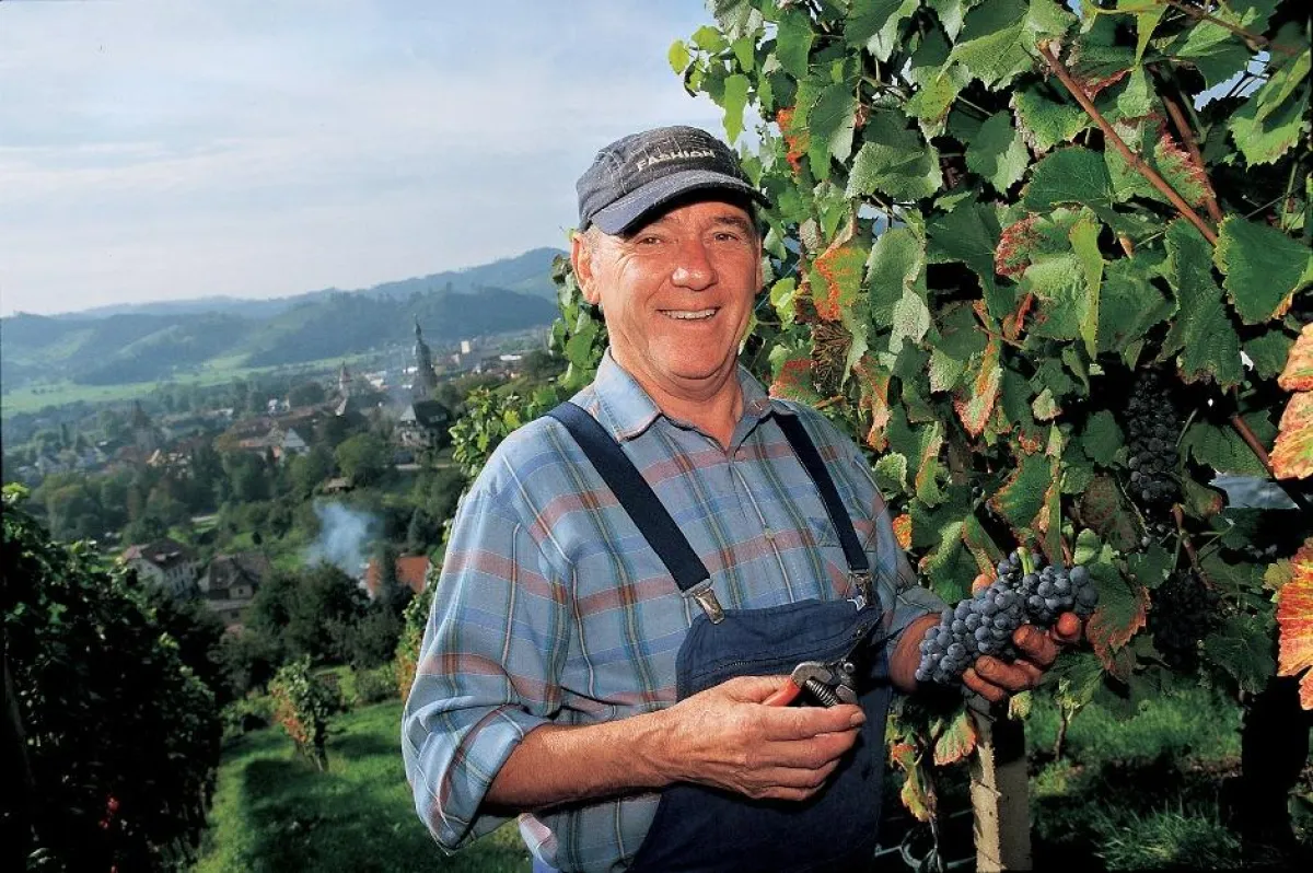 Weinfest Gengenbach 2011
