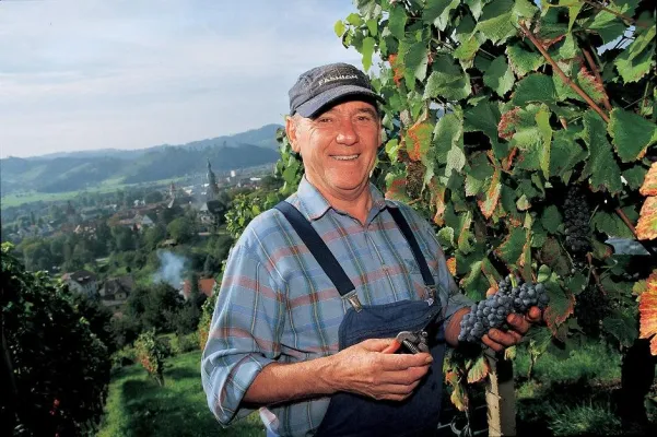 Wein- und Stadtfest Gengenbach Bild: Wein- und Stadtfest Gengenbach