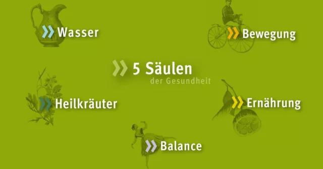 Bild: Immunsystem und Abwehrkräfte stärken - mit Kneipp