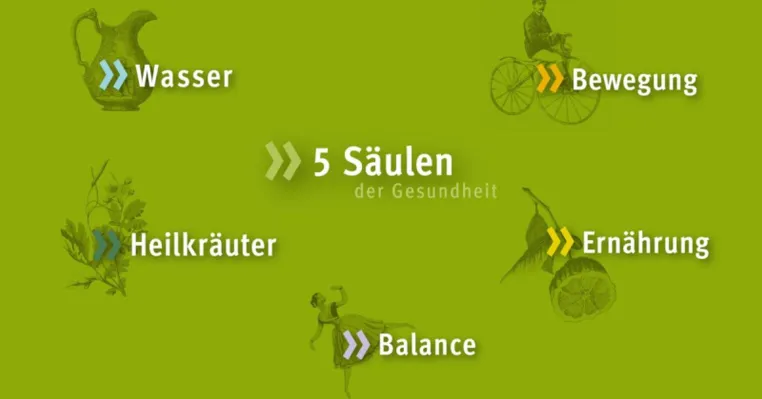 Bild: Immunsystem und Abwehrkräfte stärken - mit Kneipp