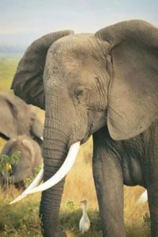 Magische Vielfalt: Ein Schulaufenthalt in Südafrika Bild: Magische Vielfalt: Ein Schulaufenthalt in Südafrika