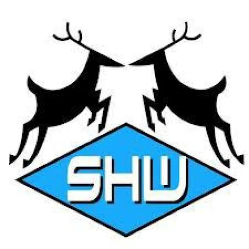 Schwäbische Hausfrau berät Spanien Bild: Schwäbische Hausfrau berät Spanien