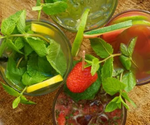 Bild: Fruchtig und spritzig – Limonana: das israelische Getränk für den Sommer