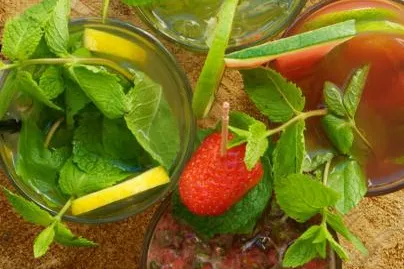 Bild: Fruchtig und spritzig – Limonana: das israelische Getränk für den Sommer