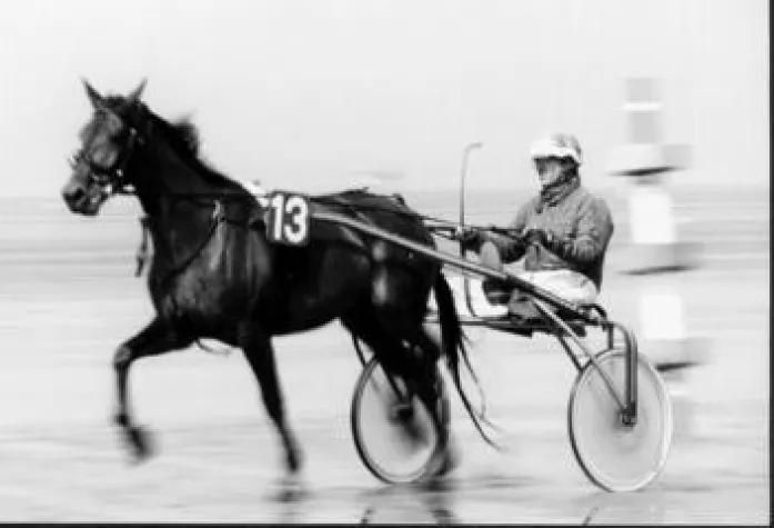 Bild: "Duhner Wattrennen" - Das einzigartig skurrile Pferderennen auf dem Meeresgrund am 18. August 2013