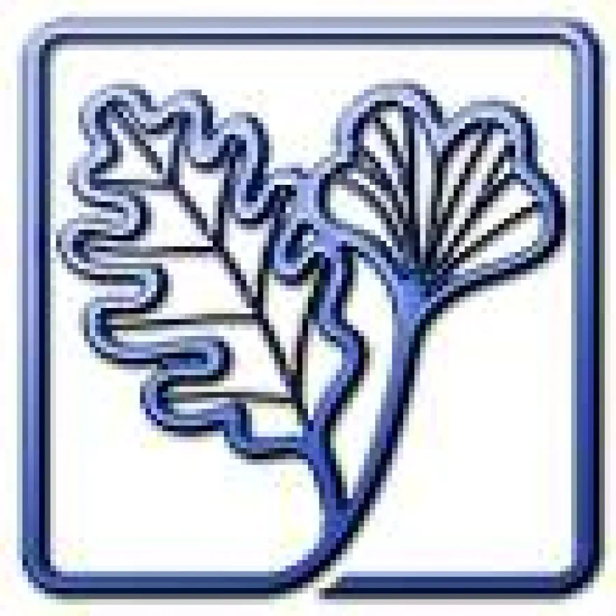 Deutsch-Asiatischer Wirtschaftskreis e. V.