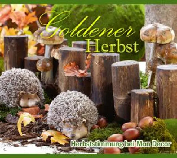 Mon Decor - Herbstdekoration Bild: Mon Decor - Herbstdekoration