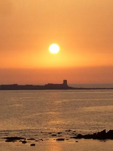 Bild: Die letzte Ruhe unter der Sonne Spaniens: Naturbestattungen als günstige Alternative zur Friedhofsbeisetzung