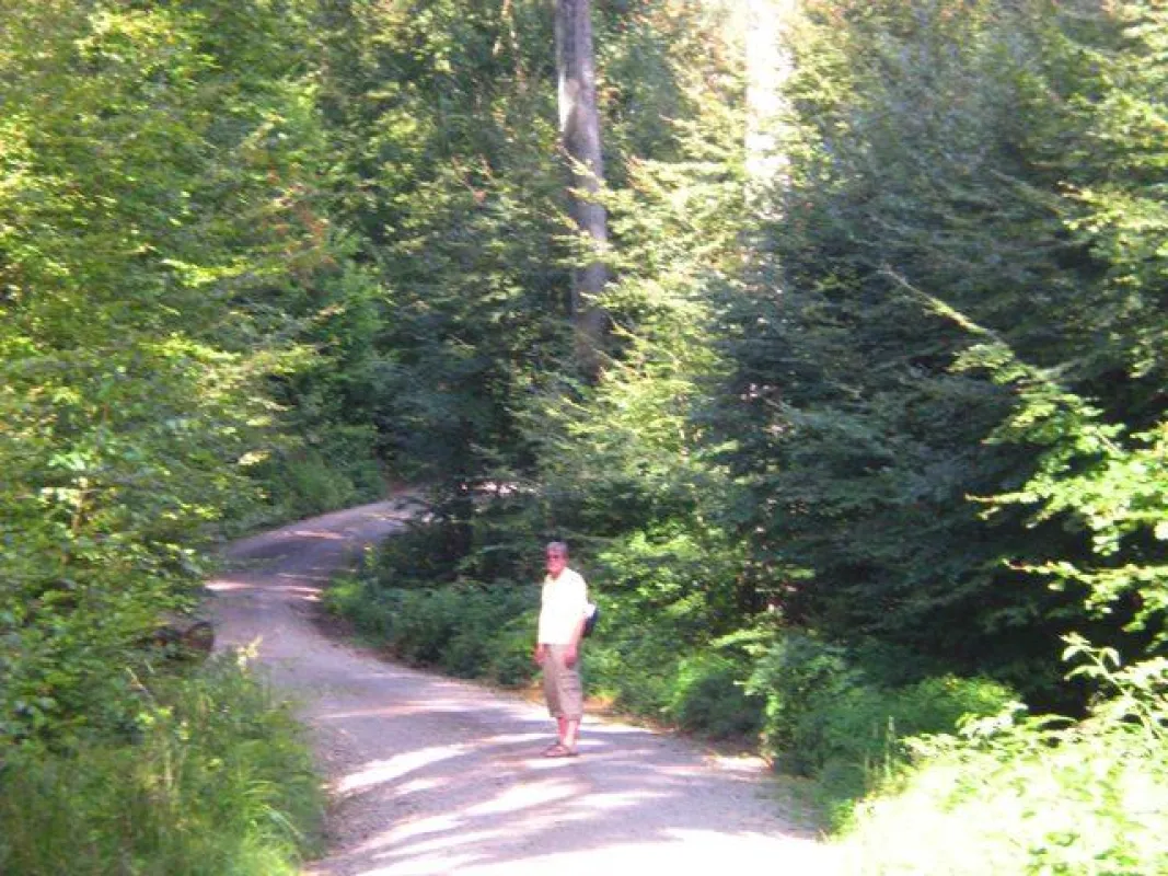 Bayerischer Wald