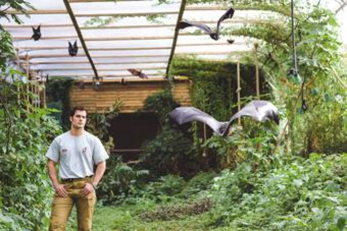 Copyright: Matt Porteous. Superman Henry Cavill im Tunnel der Flughunde auf Jersey