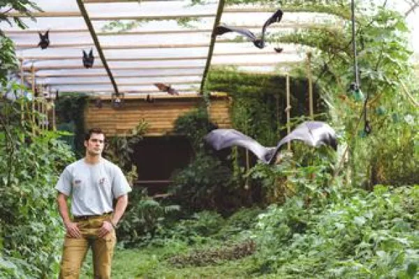 Bild: Superman Henry Cavill beteiligt an Durrell Lauf 2016