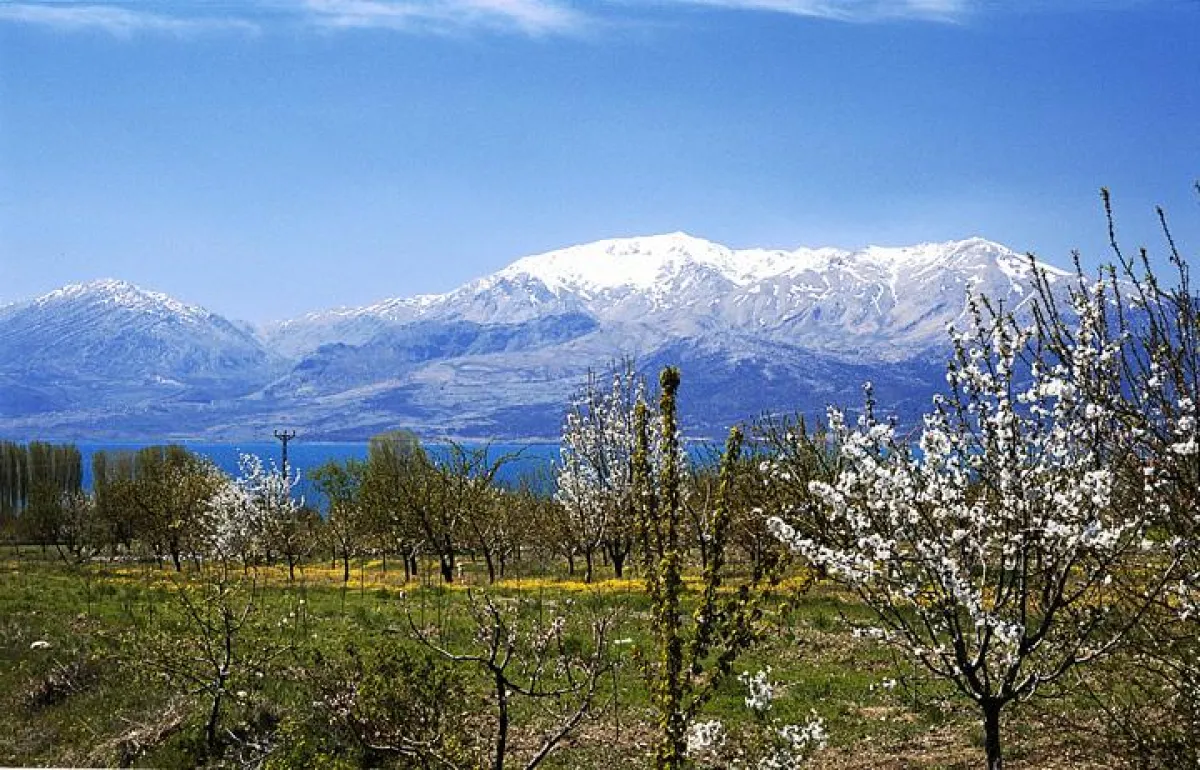 Obstbaumblüte am See von Egirdir