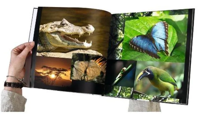 Bild: „my moments“ und L&S Digital stehen für umweltfreundliche Produktion