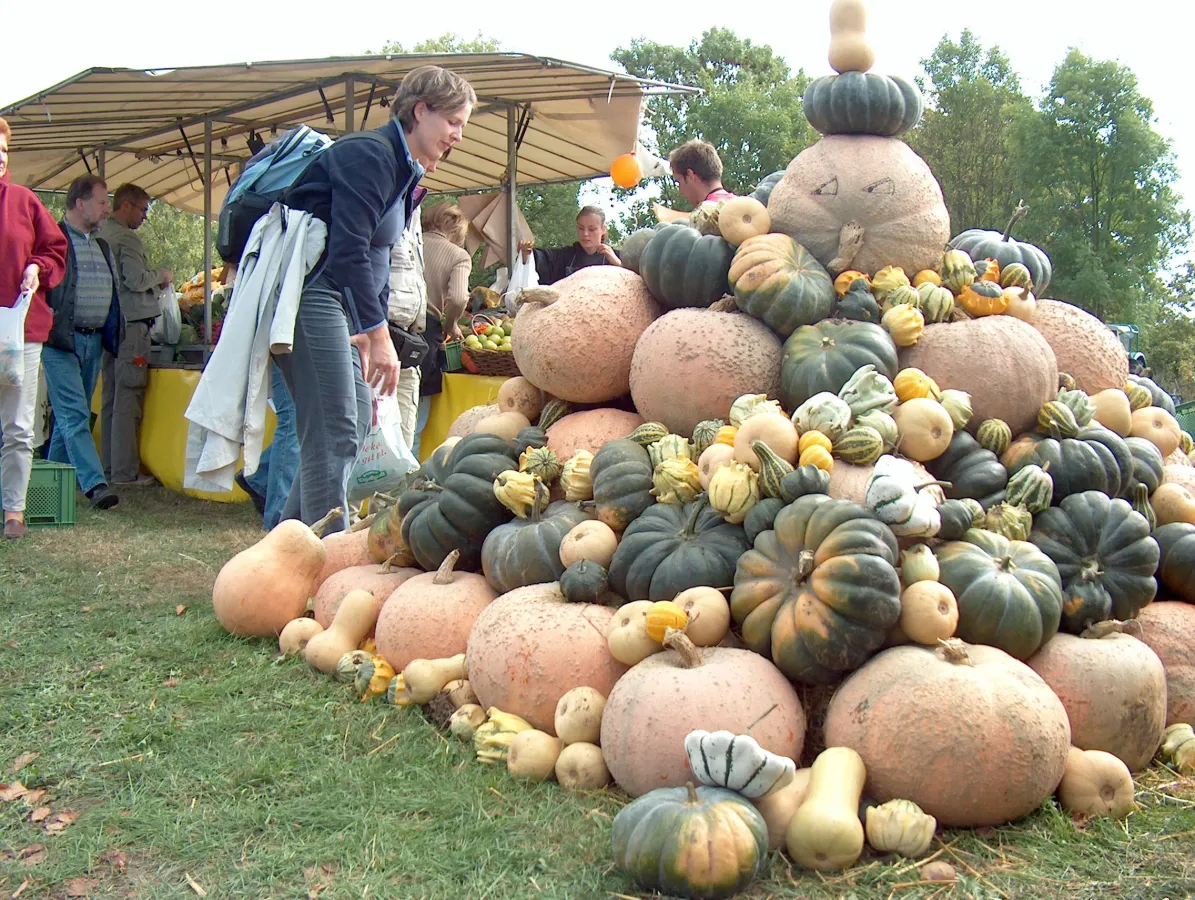 Auch das gibt es auf dem Wulksfelder Kartoffelmarkt: die Kürbispyramide
