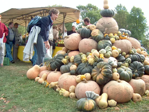 Bild: Raus auf’s Land zum 3. Wulksfelder Kartoffelmarkt