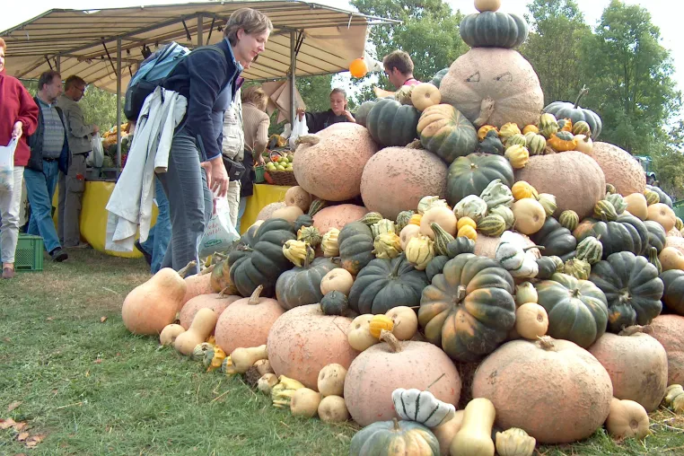 Bild: Raus auf’s Land zum 3. Wulksfelder Kartoffelmarkt