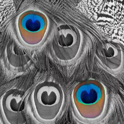 Bild: 1-tägiger Workshop „Einstieg in die Bildbearbeitung mit Photoshop Elements“ mit der Fotoschule des Sehens
