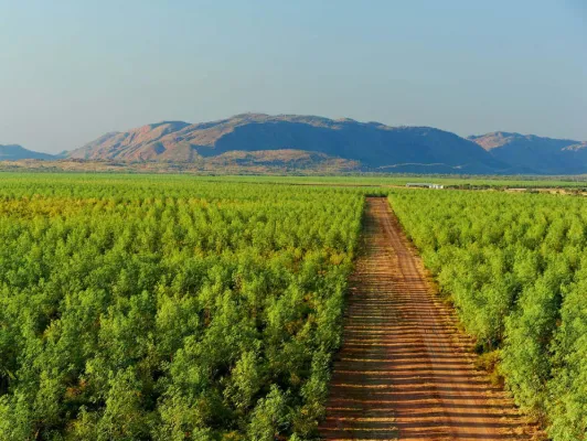 Bild: Jäderberg & Cie. - Philip Nerb veröffentlicht Werteanalysen der beiden Angebote JC10 und JC11