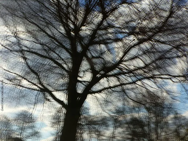 Bild: Korruptionsaffäre Niedersachsen/Bremen: Innenpolitiker Pistorius/Mäurer (SPD): "Leiten Sie Ermittlungen ein!"