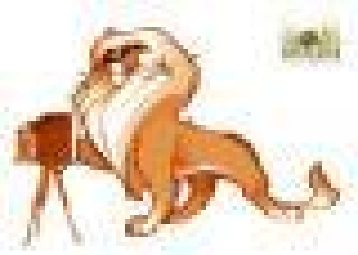 Fotokurs für Anfänger