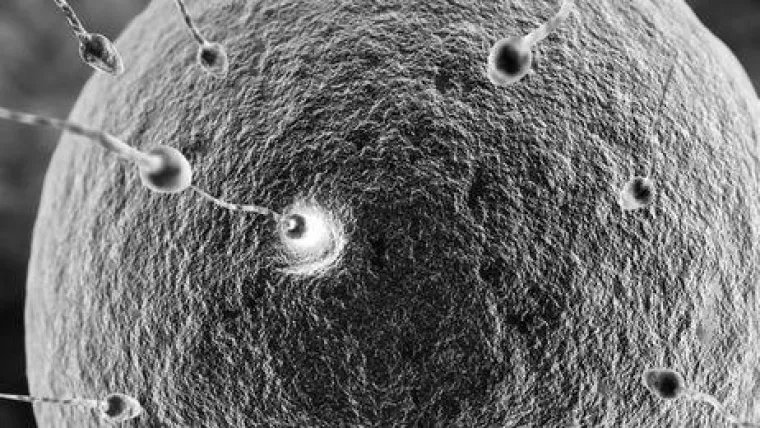 Bild: Genesis Reproductive AG: Neue Klinik für Europas Fruchtbarkeit