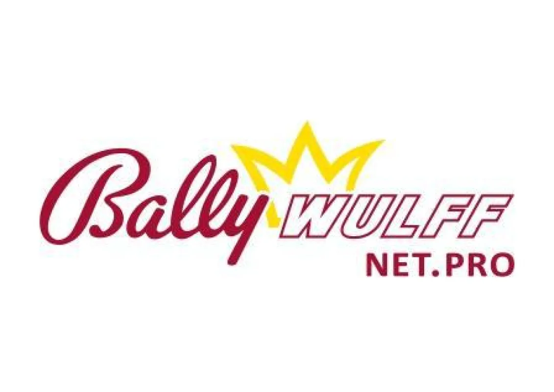 Fernwirkung via BALLYWULFFnet.pro