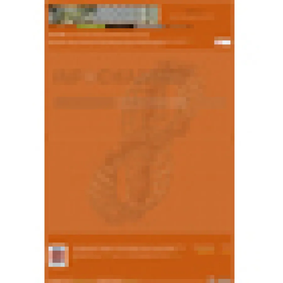 The Vexier - Das 500.000 Euro Internet Rätsel