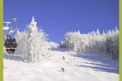 Bild: Auch der Hund freut sich auf Wintersport in Bayern