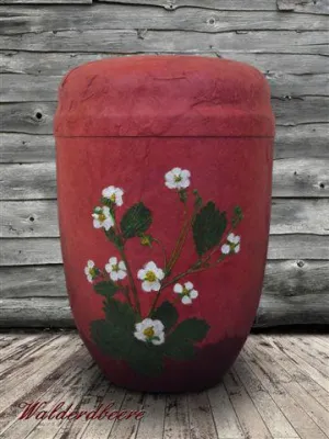 Bild: Bremer Jungunternehmerin mischt mit ungewöhnlichen Urnen den eher konservativen Bestattungsmarkt auf