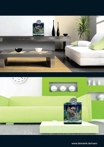 Bild: Einfach ozeanisch: Abtauchen, eintauchen, auftauchen.