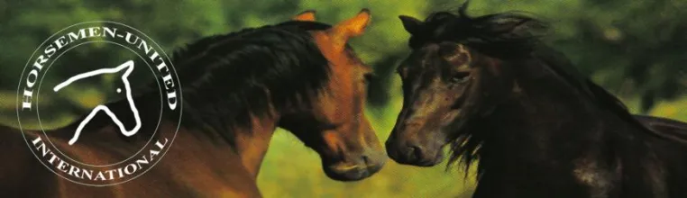 Bild: Horsemen-United International Trainerworkshop in Wesel