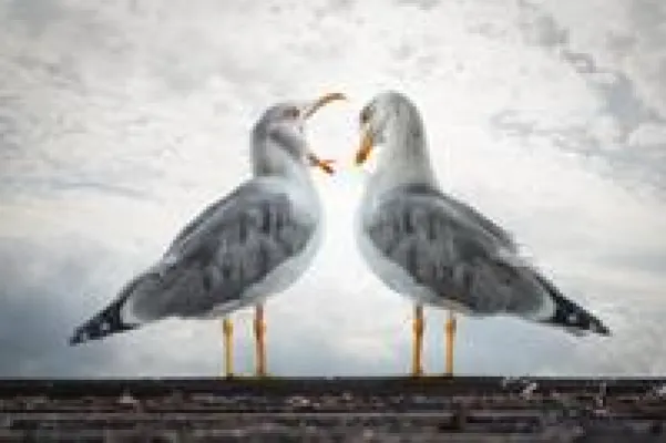 Bild: Gewinner-Motive des DOCMA Awards 2013 sind im Berliner fotoliaLAB zu bestaunen