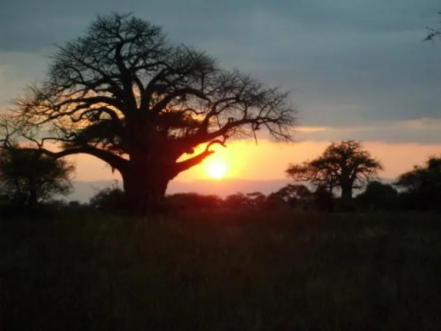 Bild: Erlebnisreise Tansania: Der Traum von Afrika wird wahr