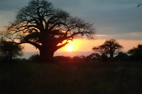 Erlebnisreise Tansania: Der Traum von Afrika wird wahr Bild: Erlebnisreise Tansania: Der Traum von Afrika wird wahr