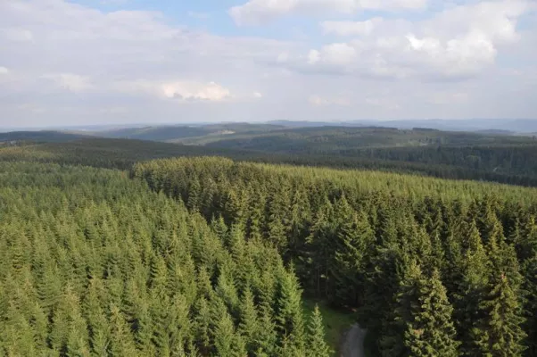 Bild: Besser geht’s kaum: Indian Summer auf der Sauerland-Waldroute