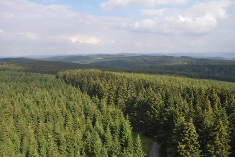 Bild: Besser geht’s kaum: Indian Summer auf der Sauerland-Waldroute