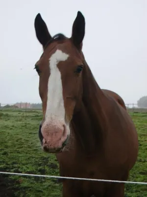 Bild: Der Winter kommt, die Kosten steigen...