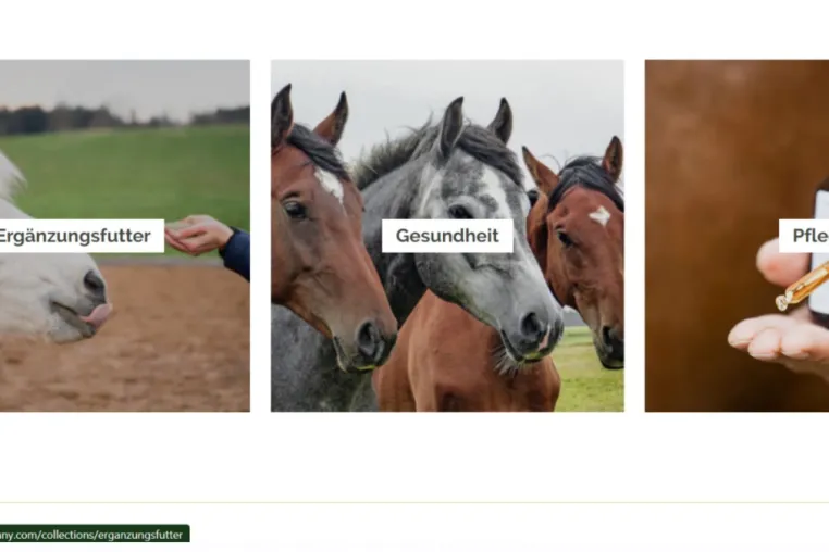 Bild: Horse Vitality Company : Hochwertiges Pferdefutter für die optimale Gesundheit Ihrer Vierbeiner