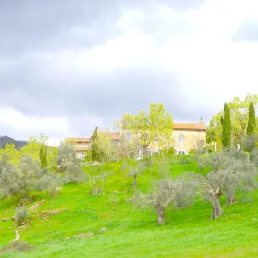 Bild: La Rogaia Ferienwohnungen in Umbrien, Urlaub in Umbrien, Italien 2014, Neuer Hausprospekt