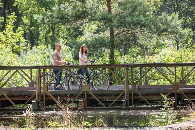 Bild: Nordbrabant bietet sorgenfreie Erholung für Radfahrer und Wanderer