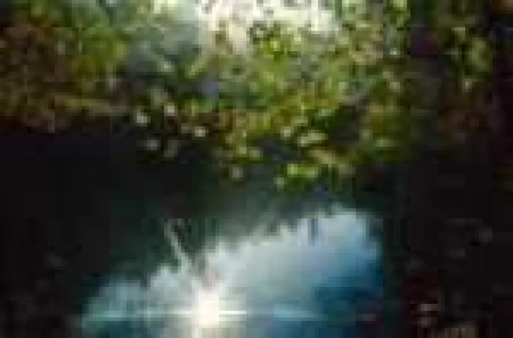 Bild: Urlaub mit Hund im Oberpfälzer Wald