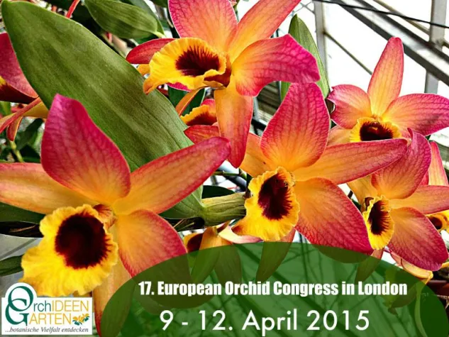 Bild: 17. Europäische Orchideen Show & Konferenz vom 9. - 12. April 2015 in London mit Adel aus Niedersachsen