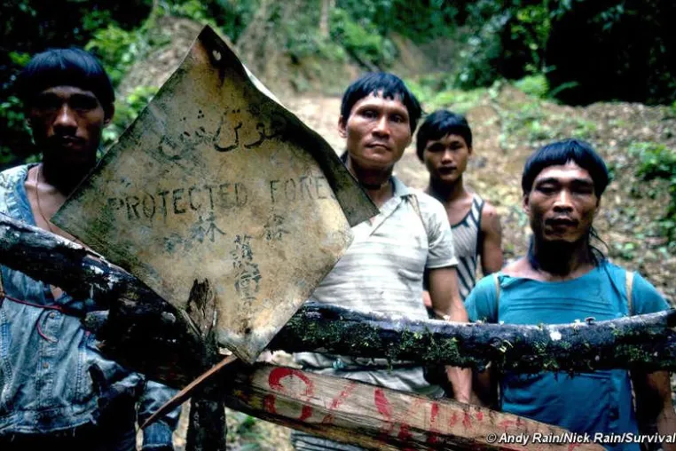 Borneo: 30 Jahre Regierung Taib hat “alles zerstört” Bild: Borneo: 30 Jahre Regierung Taib hat “alles zerstört”