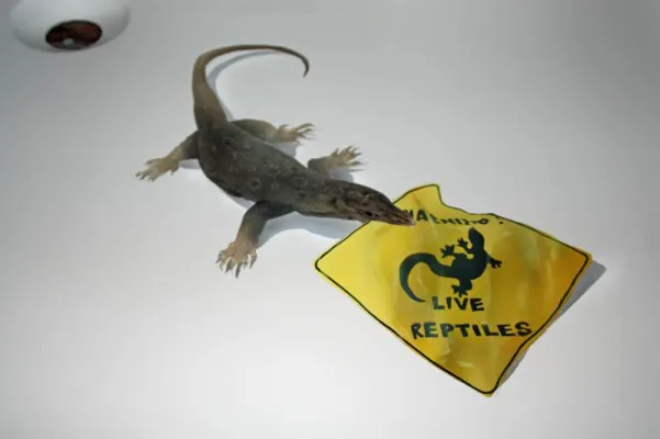 Bild: Airbrusher gesucht. Airbrush-Fachverband e.V. vermittelt Aufträge