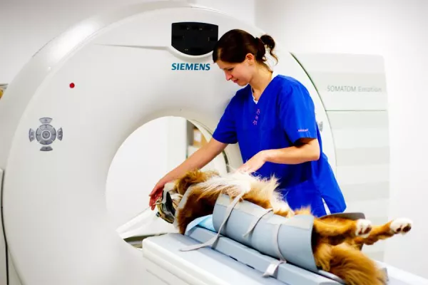 Bild: Modernste Technik – Notfallversorgung – rund um die Uhr