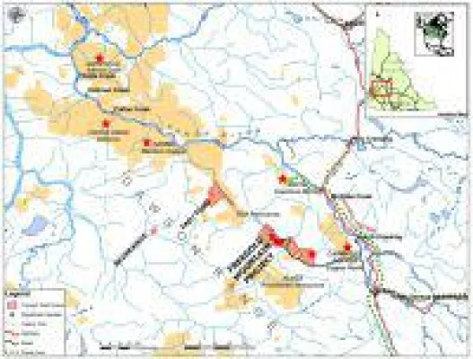 Bild: Triumph Gold nach Bohrprogramm auf Freegold Mountain vor Neubewertung