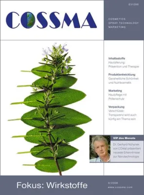 Bild: Gefährliche Nanotechnologie? Viel Lärm um nichts