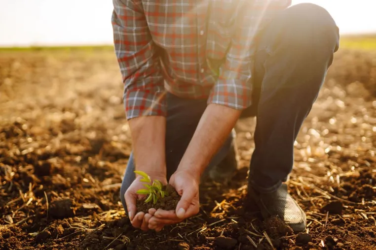 Bild: Schafwollpellets und Carbon Farming