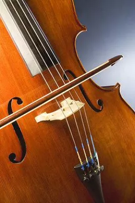 Bild: Musik hat positiven Einfluss auf Körper und Geist
